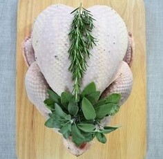 Bronze Turkey Gluten Free Sage Onion Stuffed