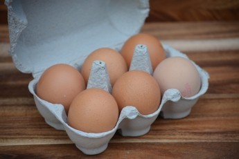 Stokes Farm Free Range Eggs