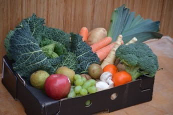 Fruit And Veg Box