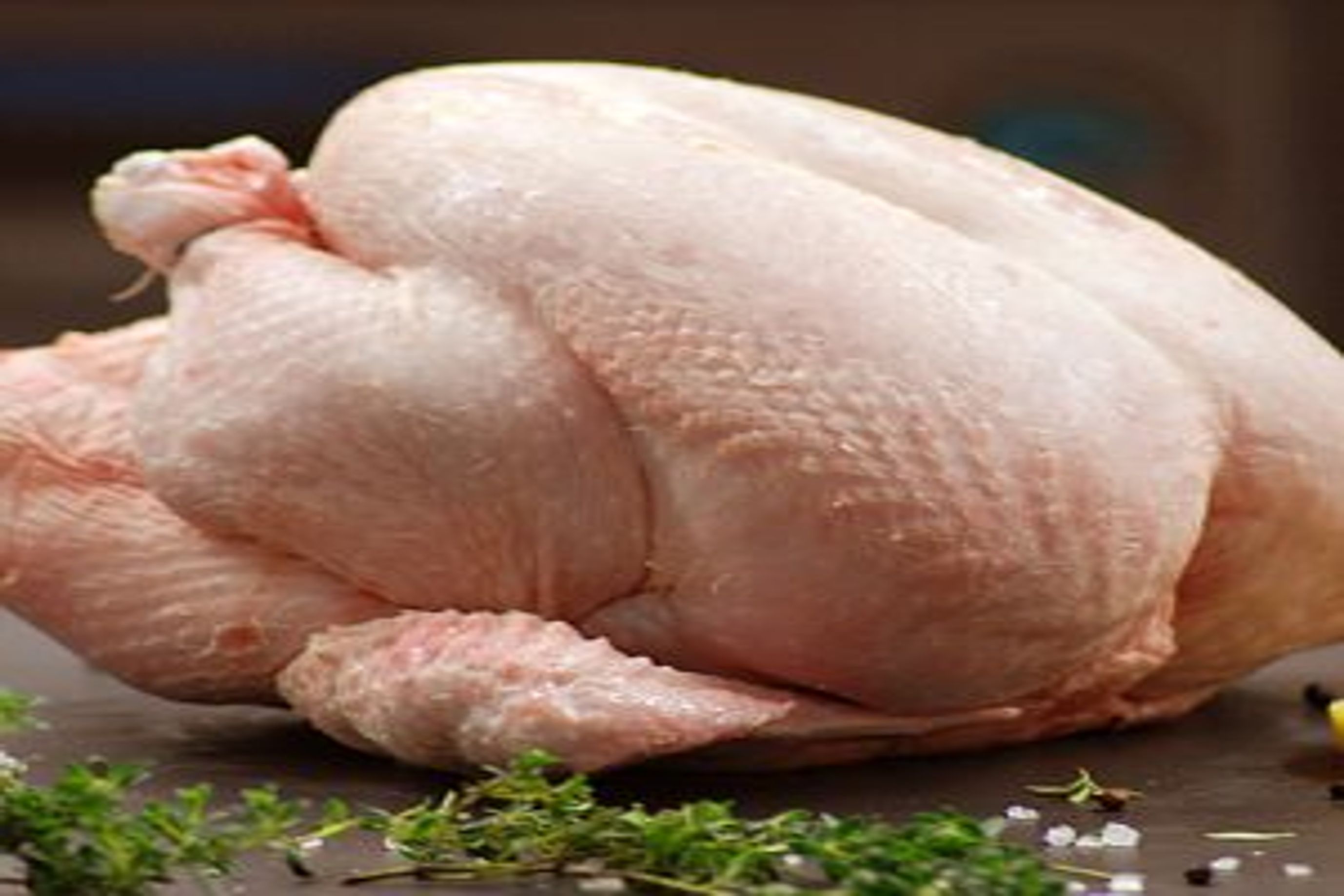 Poultry