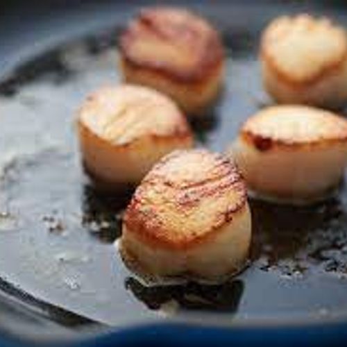 Scallops