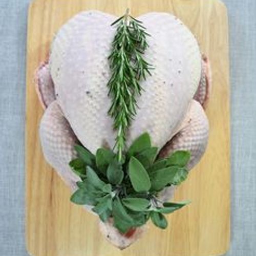 Bronze Free Range Turkey